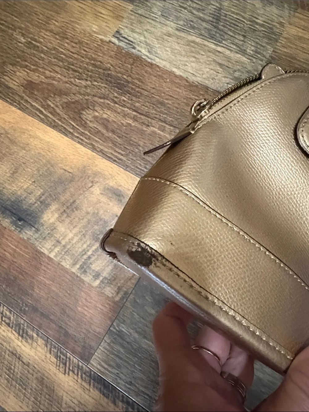 Coach compact dome